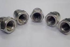 ASTM A194 Nut and ASME SA 194 Hex Nut Manufacturer in Various Grades